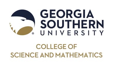 Georgia State University